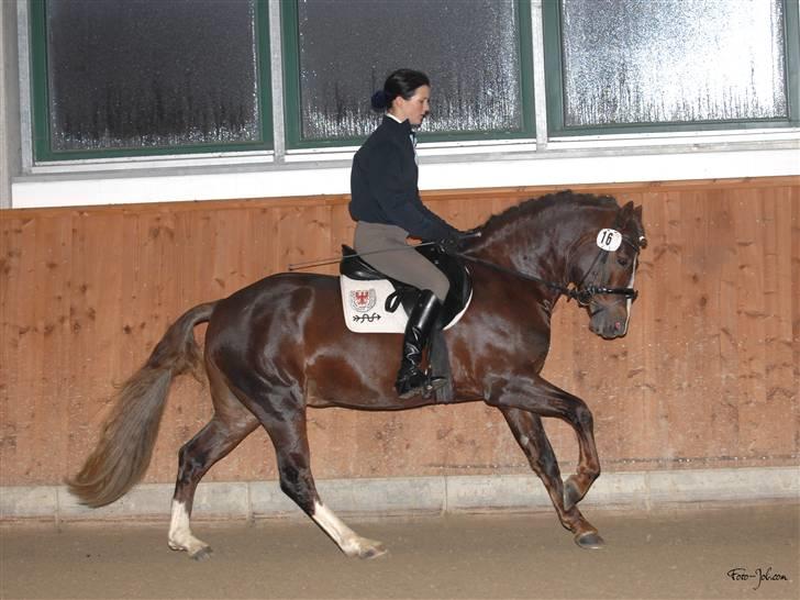 Connemara Skærgårdens First Night -  Materialprøve Neustadt Dosse, bestået med 813 point billede 8