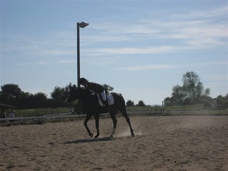 Dansk Varmblod Lucky to B - LB1 ( Første stævne) 65.6% Hun havde stået stille i 3 måneder og redet 2-3 uger inden :) billede 3
