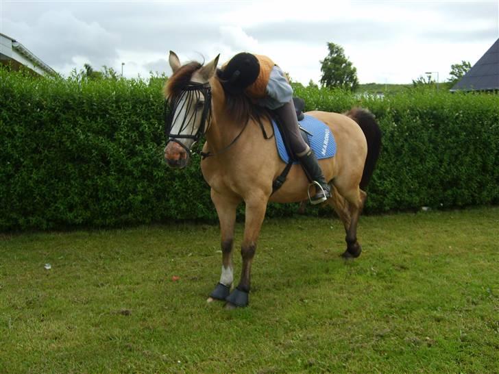 Anden særlig race Marong Wales <3 - Når man skal så skal man ;P (han står og tisser) :P billede 16