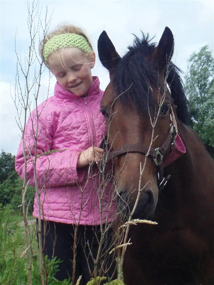 Anden særlig race Fairytale billede 1