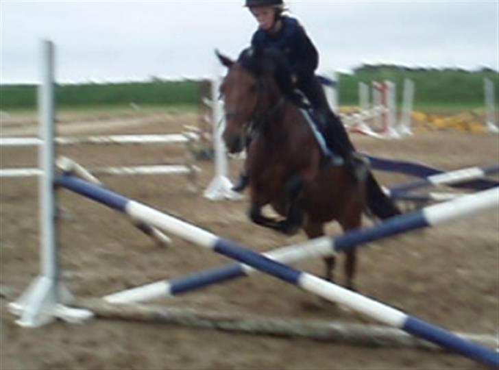 Anden særlig race Fairytale billede 4