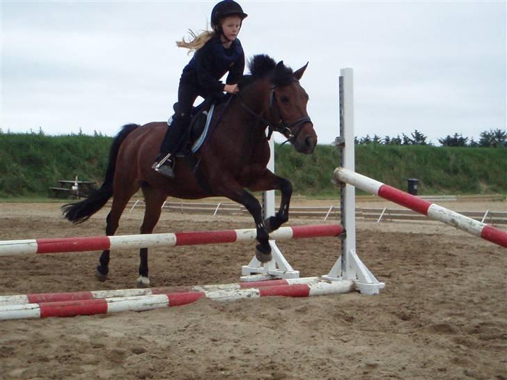 Anden særlig race Fairytale billede 6