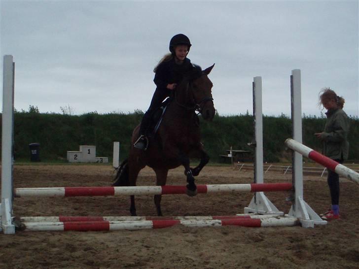 Anden særlig race Fairytale billede 7