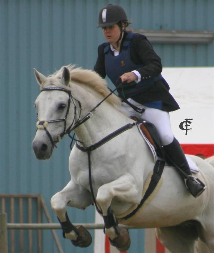 Anden særlig race Mickey  - NYT! Min dejlige i LC på GDR<3.. Foto: Cabana Foto billede 17