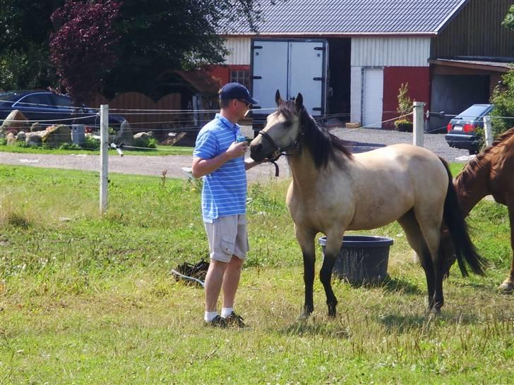 Anden særlig race Kikki - Smukke og far <33 "Må jeg smage din sodavand ?" x) billede 3