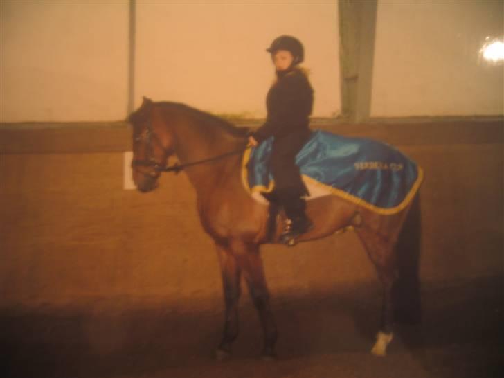 New Forest Rex <3 ( Solgt ) :'( - 5#   Første gang jeg sidder på Ham.. da han var næsten 5 år og stod på FDR... D. 5/5-04 så jeg var næsten 10år den gang.  billede 5