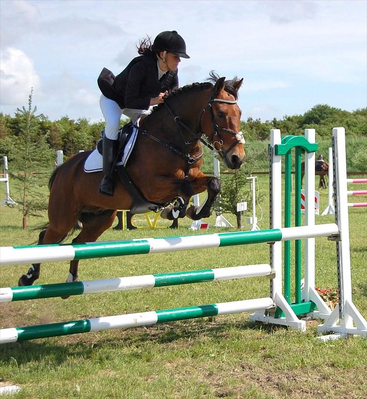 Anden særlig race Cativo - jeg vil aldrig leve uden dig i:  billede 3