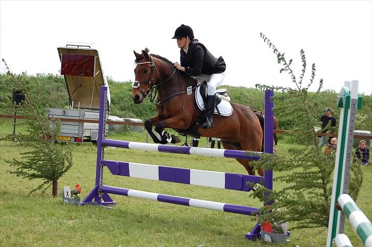 Anden særlig race Cativo - SJM individuel. foto: malene lykke hansen billede 4