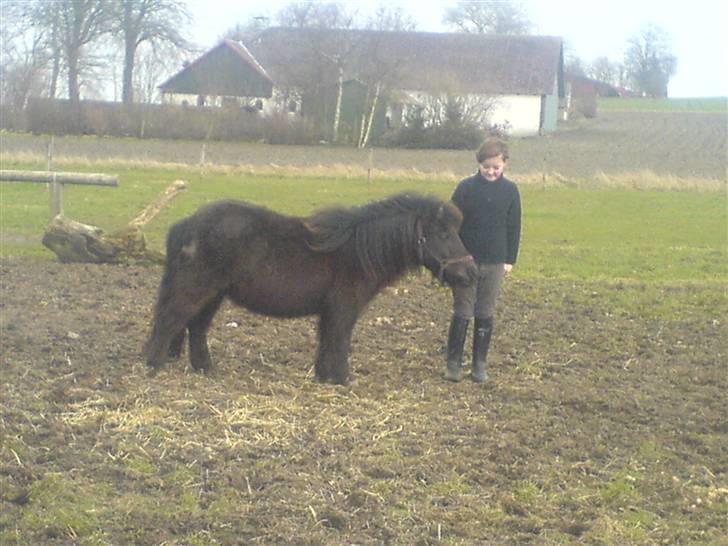 Shetlænder pretty <33 rider ikke mer - pretty der står rigtig fint og min veninde simone står ved siden af<3 billede 3