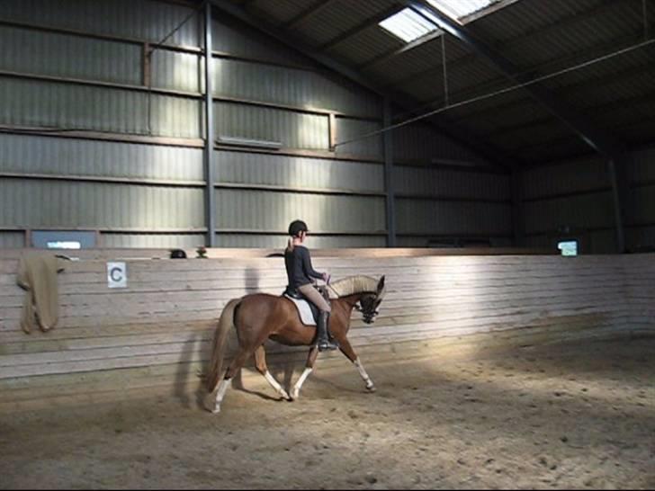 DSP Friis Jesse Bell  billede 16