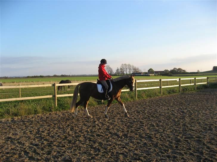 DSP Friis Jesse Bell  - Det er så det sidste ridebillede af den smukke prinsesse !!!! :´(  billede 17