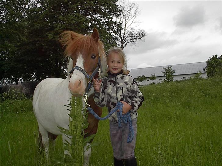 Anden særlig race Buller * SOLGT* - Her er mig og Buller på Marken billede 3