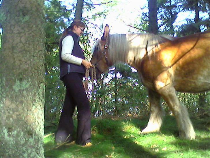 Jyde thea - SOLGT billede 7