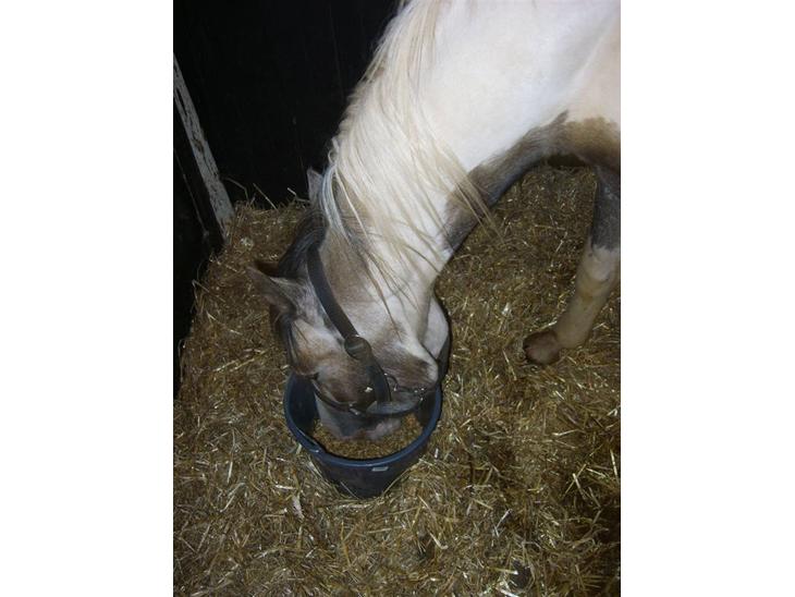 {{currentPhoto.altText}} billede {{currentPhoto.number}}