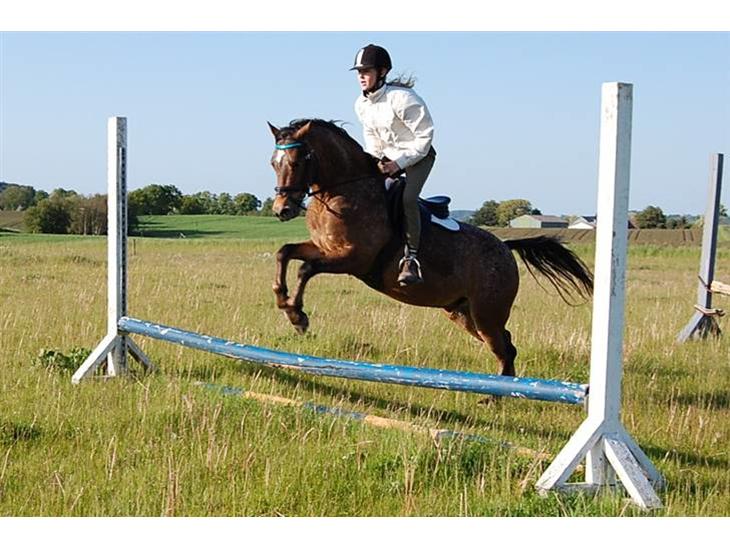 {{currentPhoto.altText}} billede {{currentPhoto.number}}