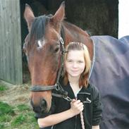 Dansk Varmblod Fru larsen<3