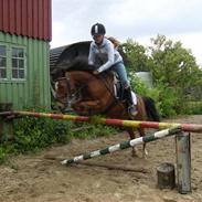 Anden særlig race Laban