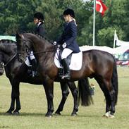 Oldenborg Jolly Jumper