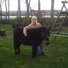 Shetlænder Mai Af Nordals