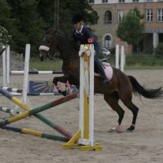 Anden særlig race Sally (solgt)