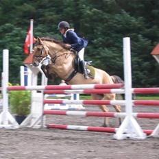 Anden særlig race Flicka R.I.P