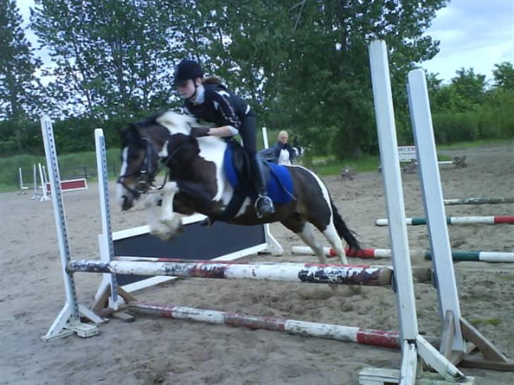 Anden særlig race Master Mind  - *NYT* spring :) foto: Pernille - tak! billede 5