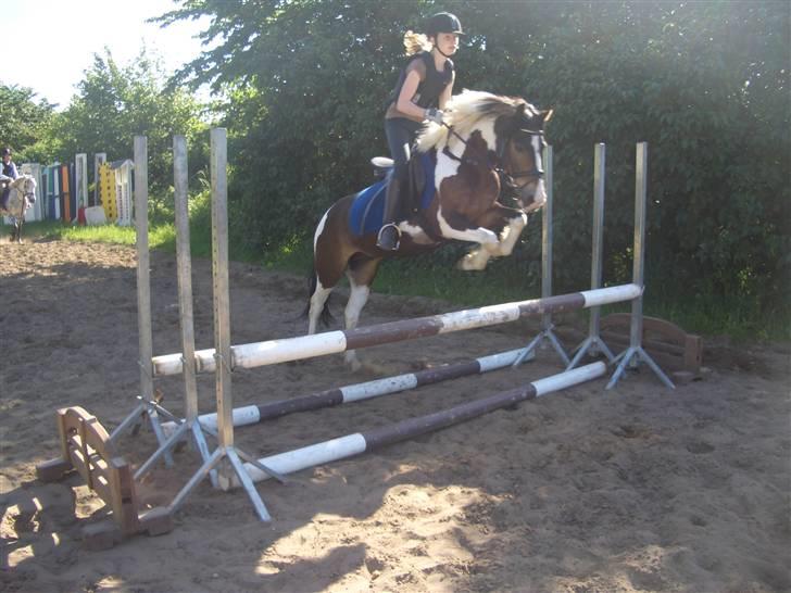 Anden særlig race Master Mind  - spring igen <3 billede 11