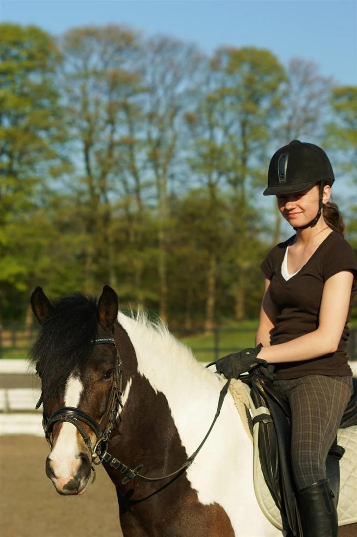 Anden særlig race Master Mind  - Mig og master :) Foto: Sidsel billede 14