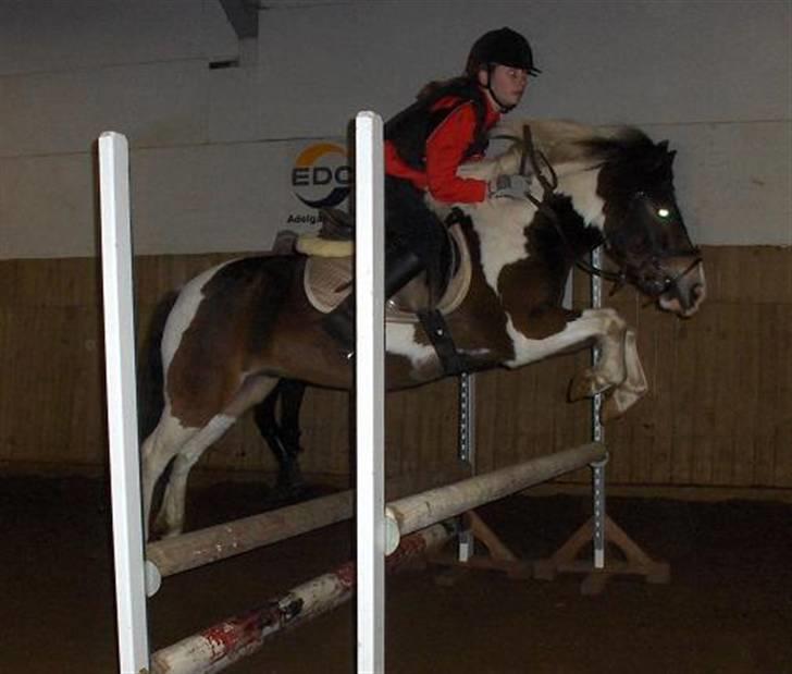 Anden særlig race Master Mind  - spring <333 - var ved at falde af her !!! :S billede 15