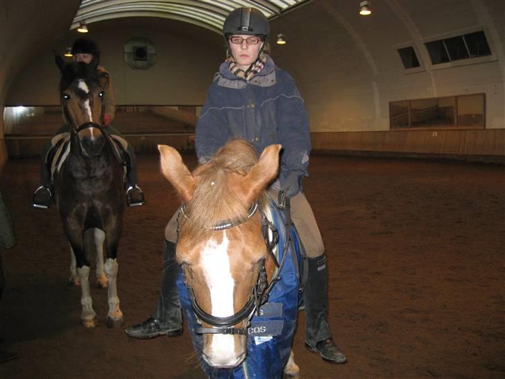 Anden særlig race Diablo  * Gamle hest* - Diablo og mig i vinters billede 11
