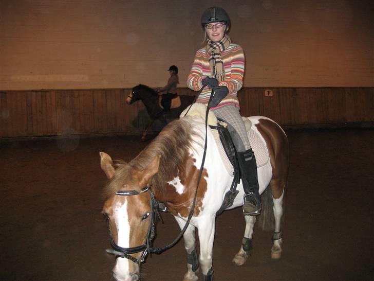 Anden særlig race Diablo  * Gamle hest* - Diablo og mig inden vvi skal ride undervisning i vinters billede 13