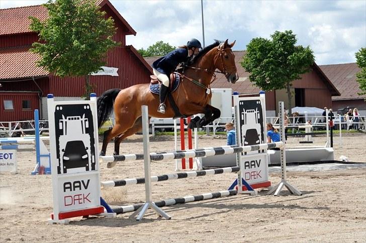 Dansk Varmblod Cappuchino - Første springstævne ULC og ULB til skaarupgaard distriksstævne billede 34