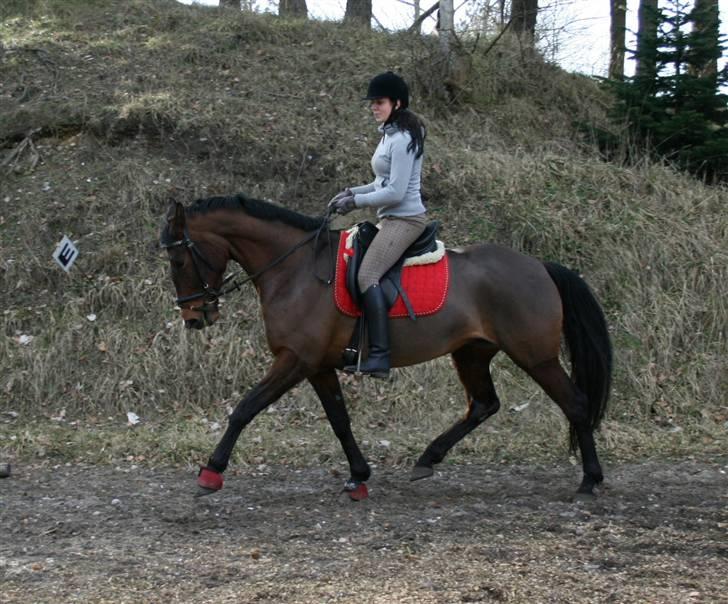 Anden særlig race Kongelundens Smilla  - Kongleundens Smilla  2009 Foto: Henriette billede 4