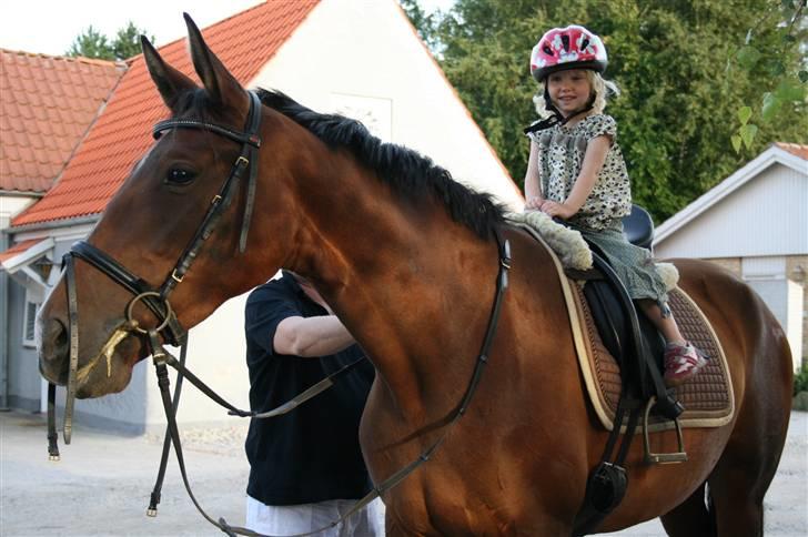 Anden særlig race Kongelundens Smilla  - Kongelundens Smilla & min Lille søster Alma på 3 år. 31 Aug. 2008 Foto:Mig billede 6