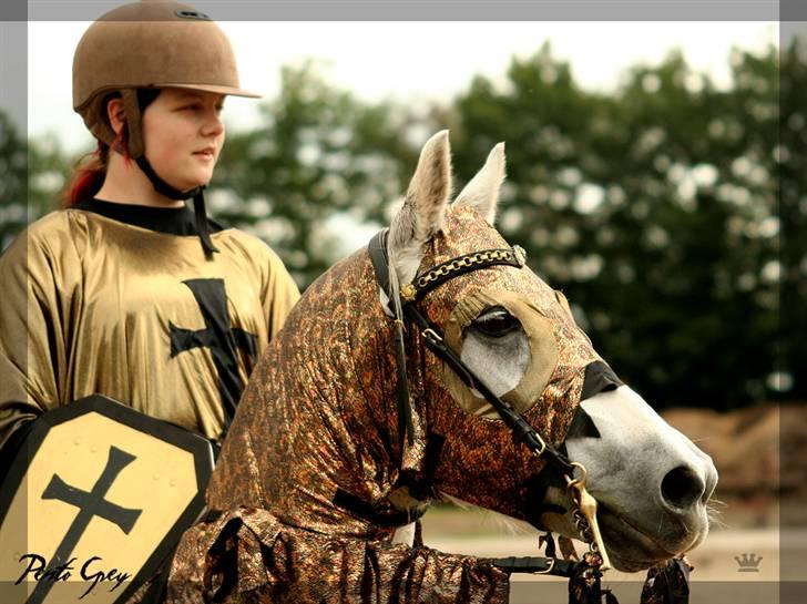 Anden særlig race Pento Grey - # 4 Jeg elsker den pony så højt. billede 4