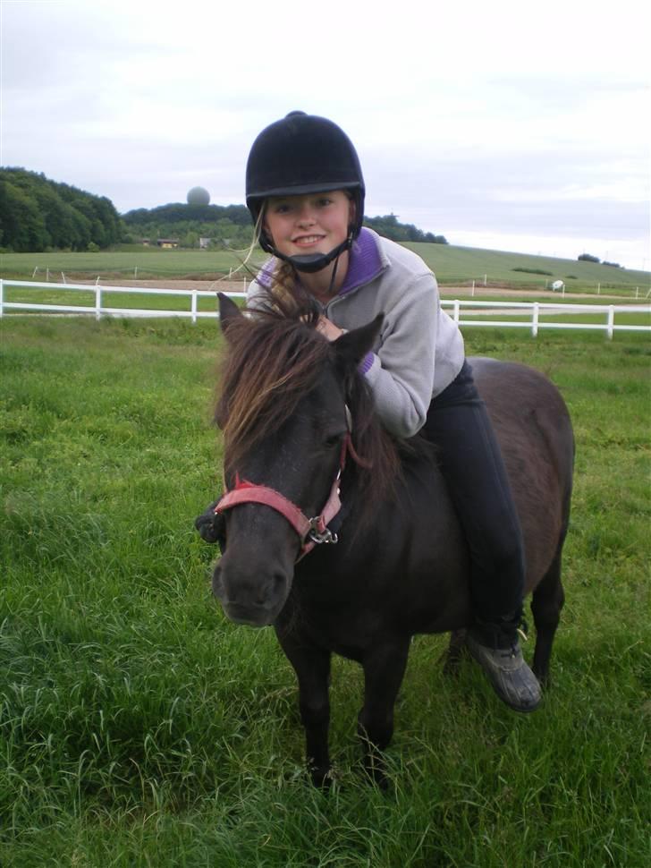 Shetlænder Mai Af Nordals - Mai og jeg <3  (hesten hedder MAI) billede 1