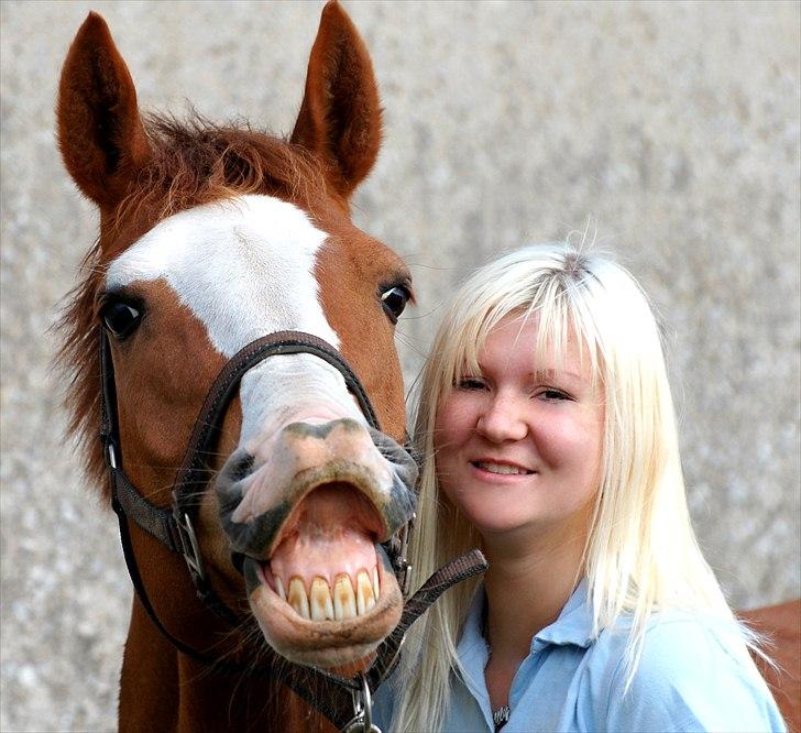 Hollandsk Sportspony  Destiny † R.I.P † - Flødebollen er bare SÅ glad :)
Du fik mig til at smile <3 billede 11