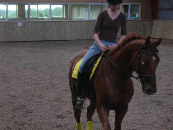 Svensk Varmblod Helios - hmm ved ikk li hvorfor jeg sidder så skævt der.. sommer 07 billede 14