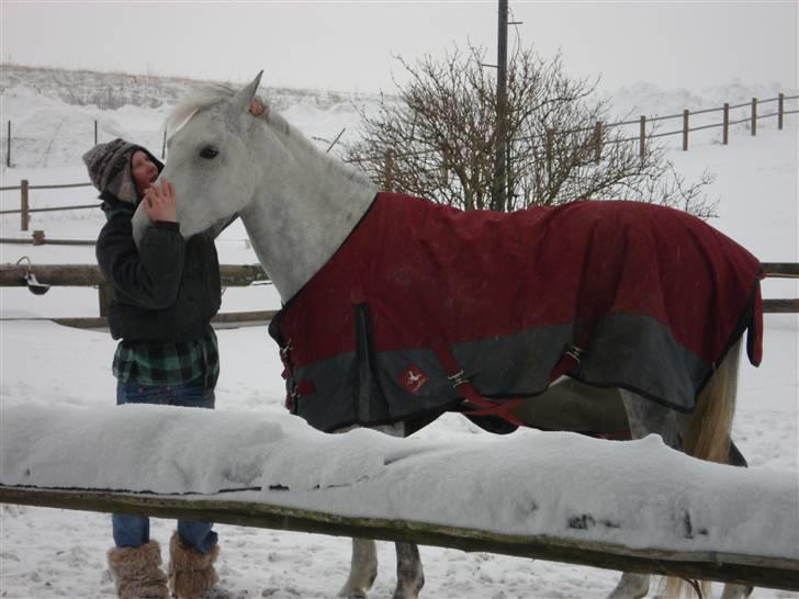 Pinto Bianca - Aflivet :'( - BIanca da der var meget sne :) billede 10