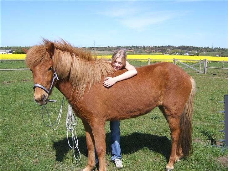 Islænder dúfa fra Lilkjær - dufa og mig da jeg lige havde fået hende hjem ;p billede 12
