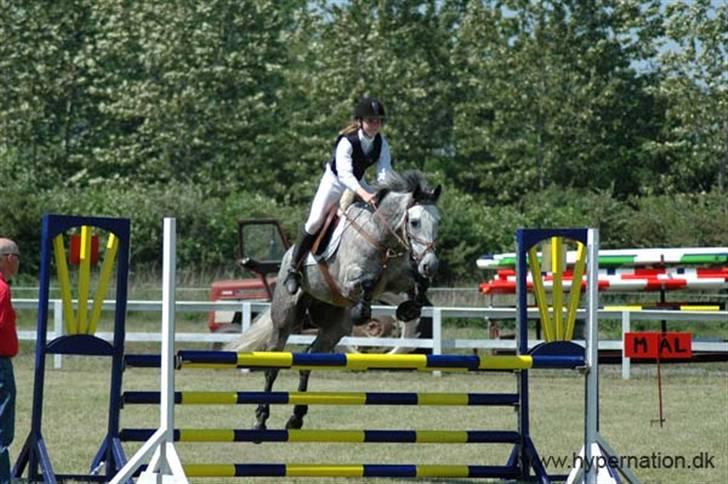 Anden særlig race Wonder Blue R.I.P.<3 - bording la.. billede 16