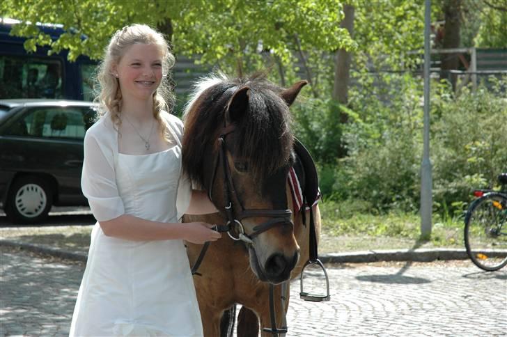 Anden særlig race tamara - tamara ved kirken til min konfirmation 12 maj 07 billede 14