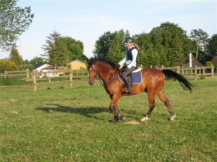 Anden særlig race Frederik R.I.P  - springtræning:) billede 4