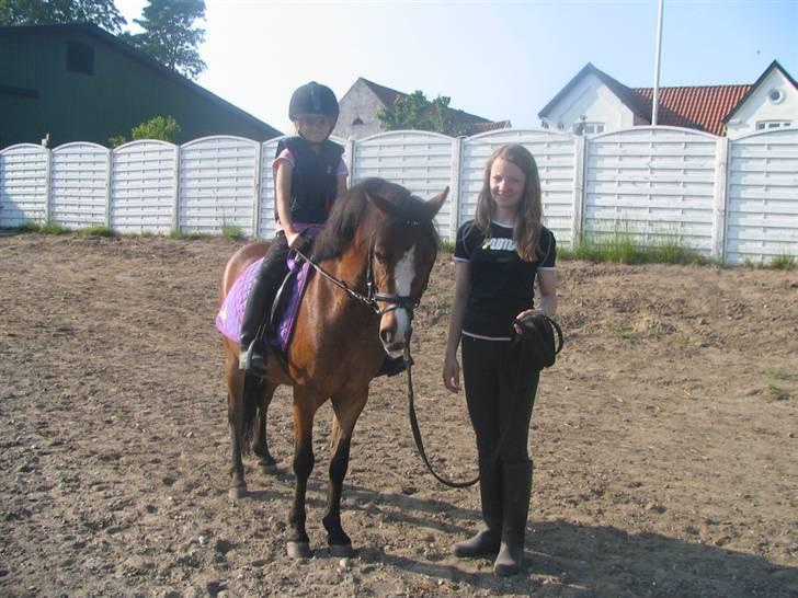 Anden særlig race Mr. Fly High  - Fly High og hans ejer (første gang hun rider ham. ) - mig ved siden af :P billede 15