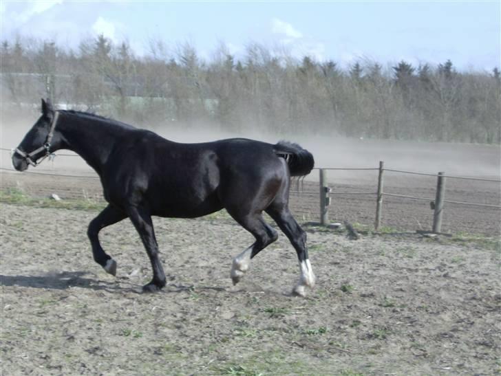 Oldenborg Lidiane  - da jeg skulle se hende for første gang  billede 3