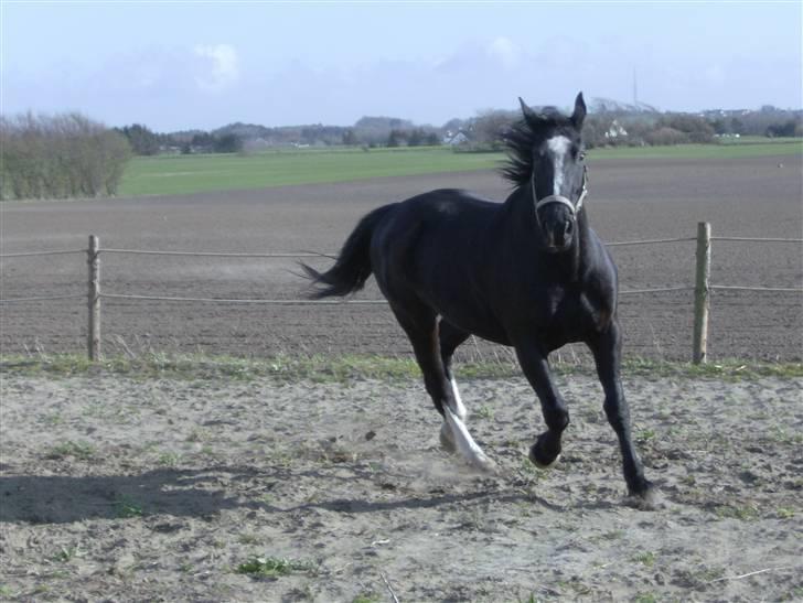 Oldenborg Lidiane  - da jeg skulle se hende for første gang  billede 5