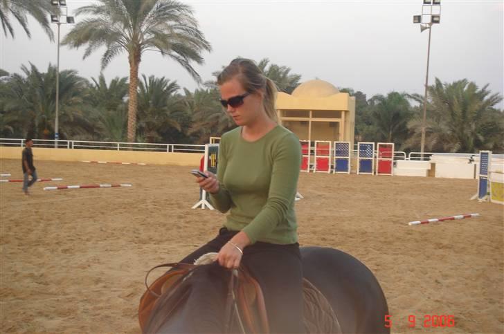 Hannoveraner Ikon - Der hjemme billede 6