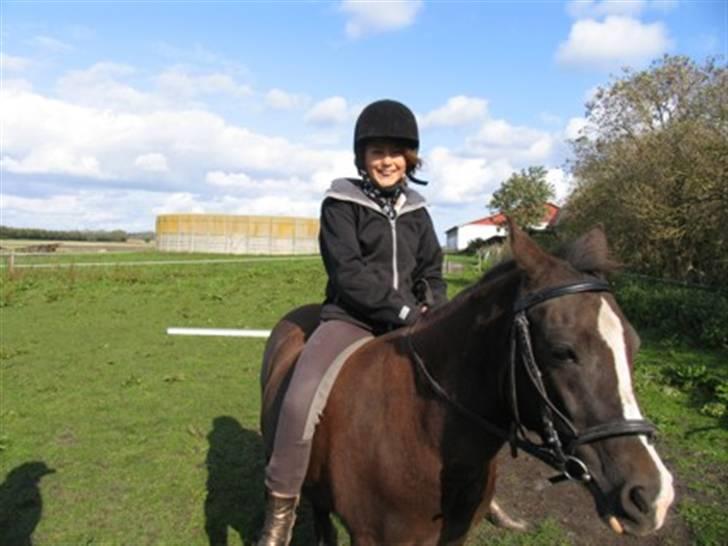 Anden særlig race Tara  billede 1