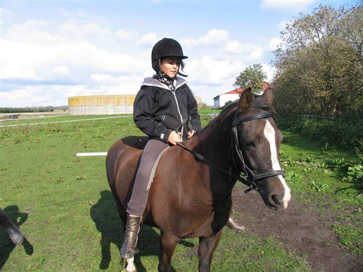 Anden særlig race Tara  billede 3