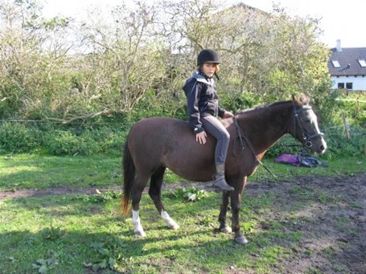 Anden særlig race Tara  billede 4